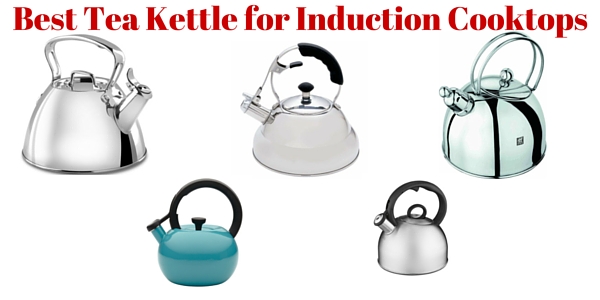 Pyrex Glass Induction Tea Kettle Hotsell, 57% OFF | empow-her.com