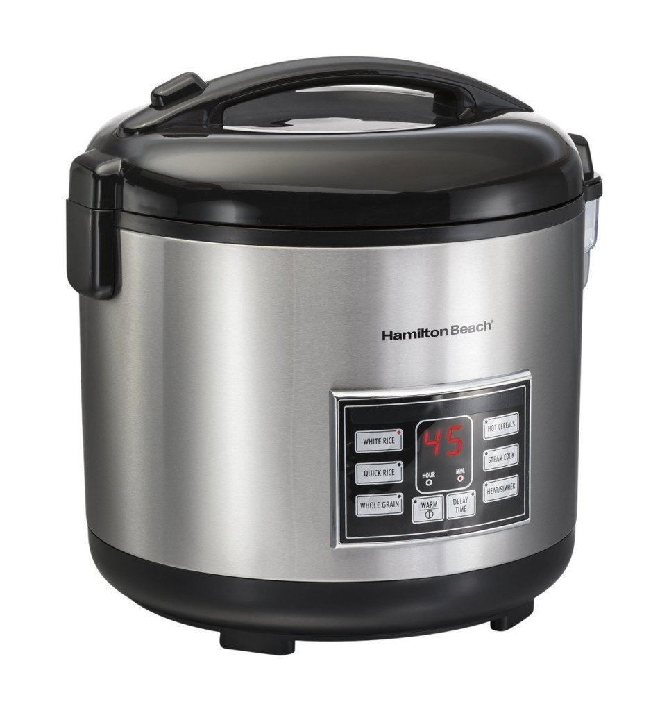 4 Best Rice Cookers under $50 with Reviews and Comparison Table